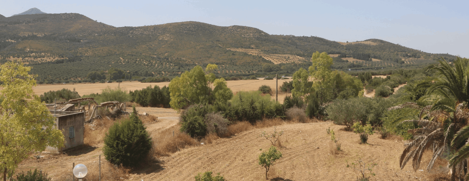 header-image